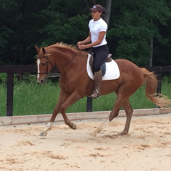 Jewelry - $3 JEWELRY SHOW